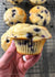 BLUEBERRY PROTEIN MUFFINS