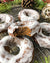 GINGERBREAD PROTEIN DONUTS (VEGAN)